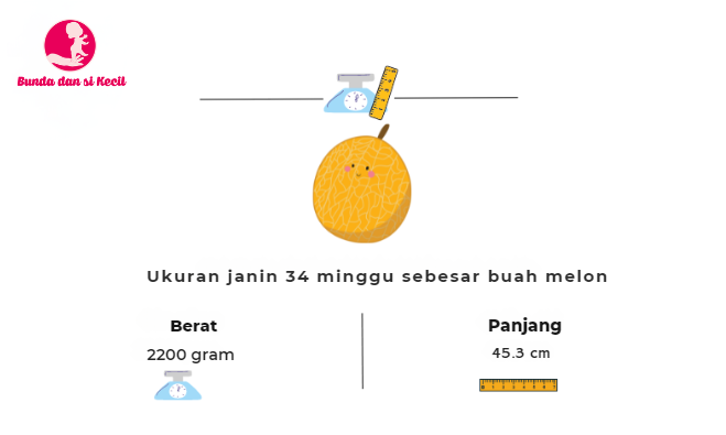 kehamilan 34 minggu, persiapan persalinan, gejala ibu hamil, perkembangan janin, Bunda, si Kecil
